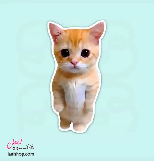 استیکر ضد آب لپ تاپ و گوشی طرح گربه مظلوم