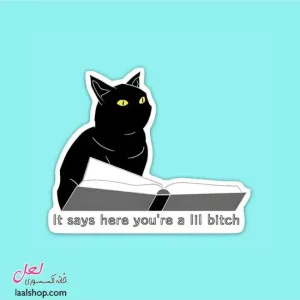 استیکر ضد آب لپ تاپ و گوشی طرح گربه It says here you're a lill bitch