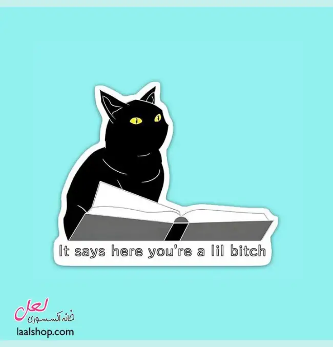 استیکر ضد آب لپ تاپ و گوشی طرح گربه It says here you're a lill bitch